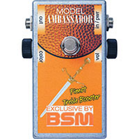 BSM AMBASSADOR