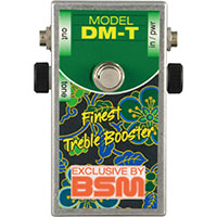 BSM DM-T